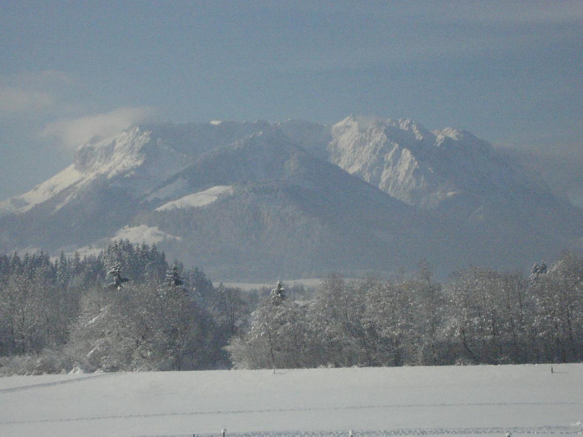 Haus Margit Appartement Kössen Buitenkant foto